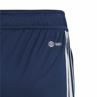Sports Shorts Adidas Tiro23 Cbtrshoy Blue-5